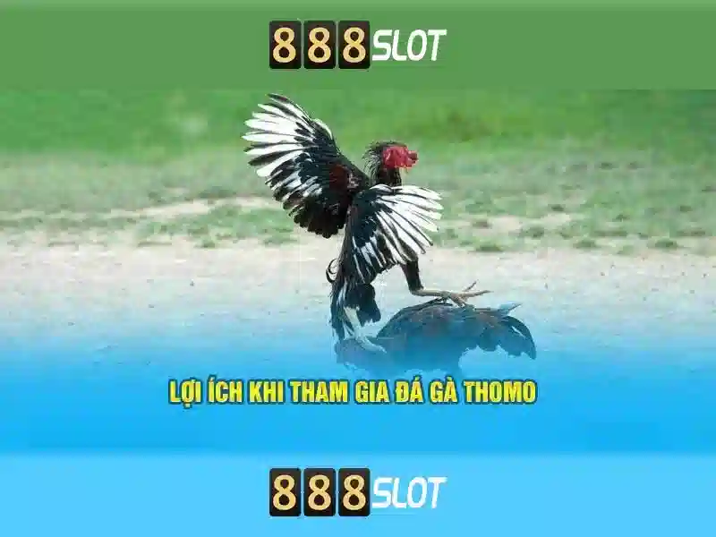 Tối Ưu Ứng Dụng 888slot App Cho Người Chơi Việt