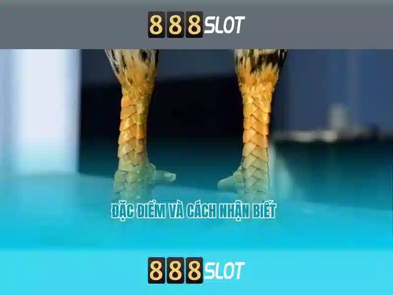 Trải Nghiệm Slot Đỉnh Cao Với 888slot Download