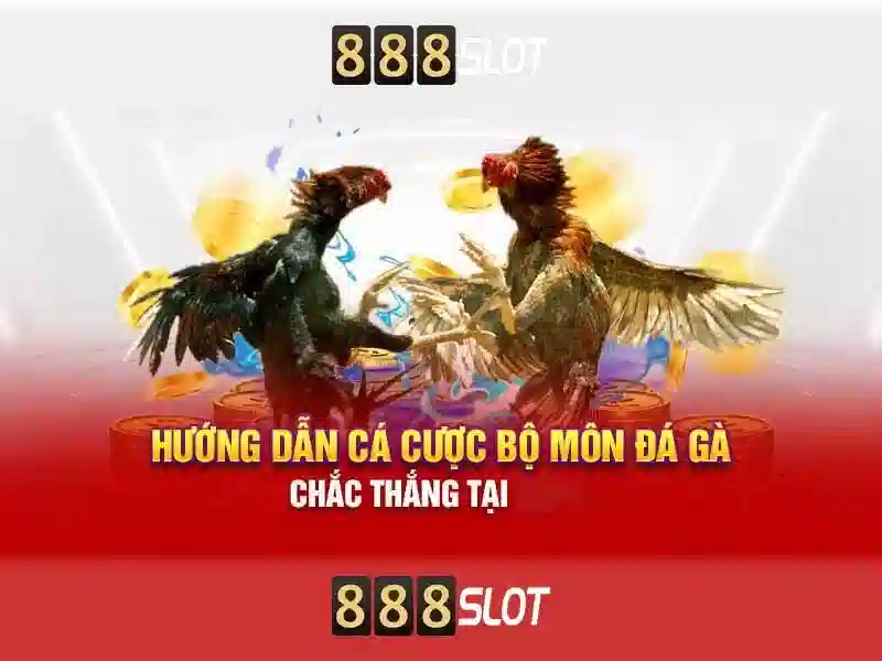 tận hưởng sự kịch tính