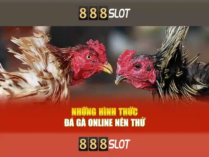 thể thao 888SLOT