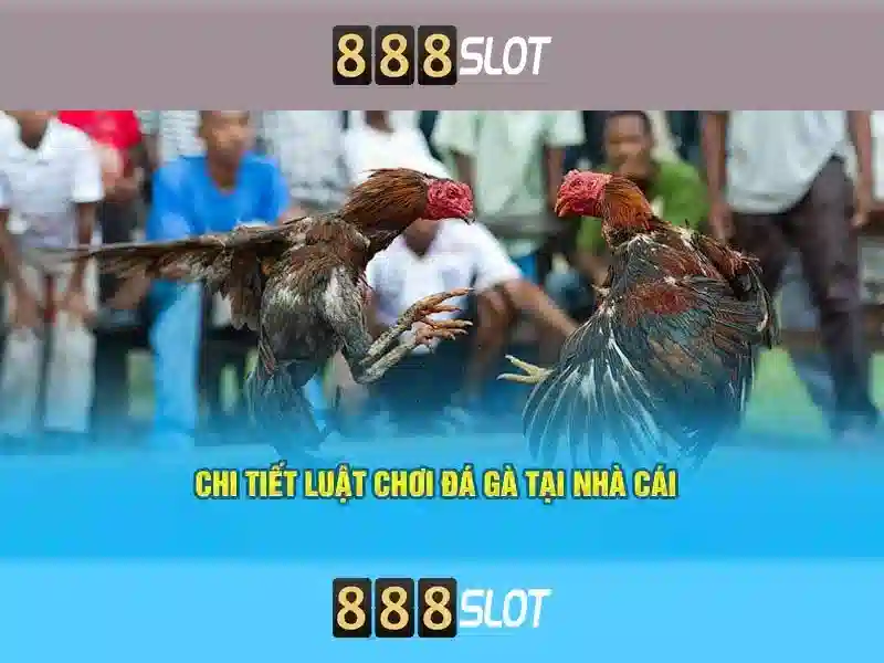 Tải App 888SLOT – Truy Cập Không Bị Chặn Cho Người Chơi Slot
