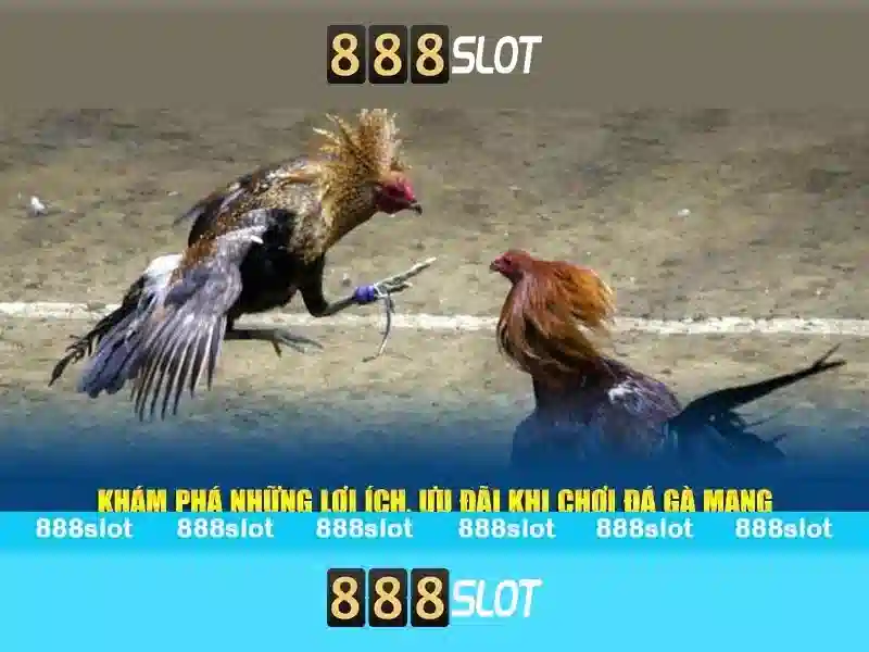 Khuyến Mãi 888SLOT