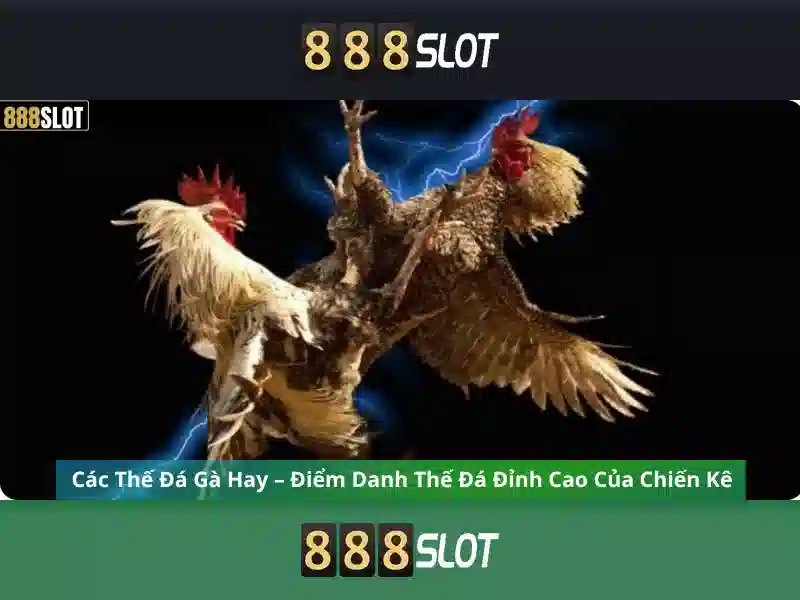 Trải nghiệm Slot đỉnh cao