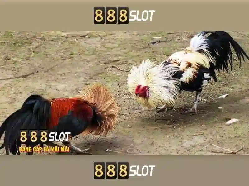 game 888 slot
