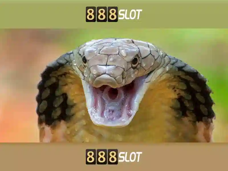 quy định 888SLOT