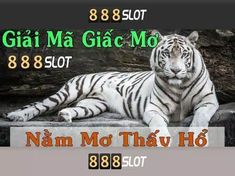 Ưu Đãi 888SLOT