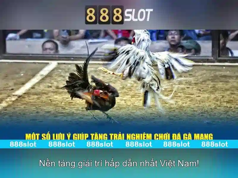 Trải nghiệm Slot 2026
