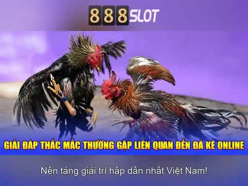 888SLOT nền tảng slot đỉnh cao