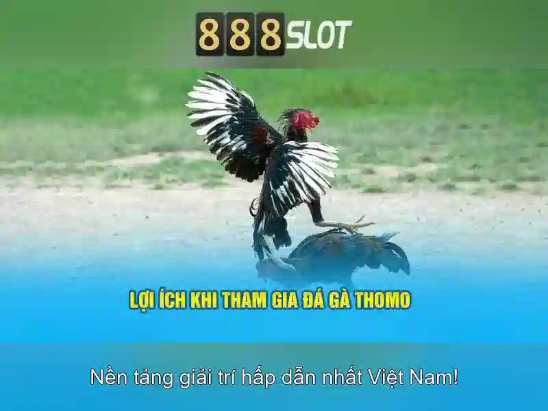 cách tham gia cá cược thể thao 888SLOT
