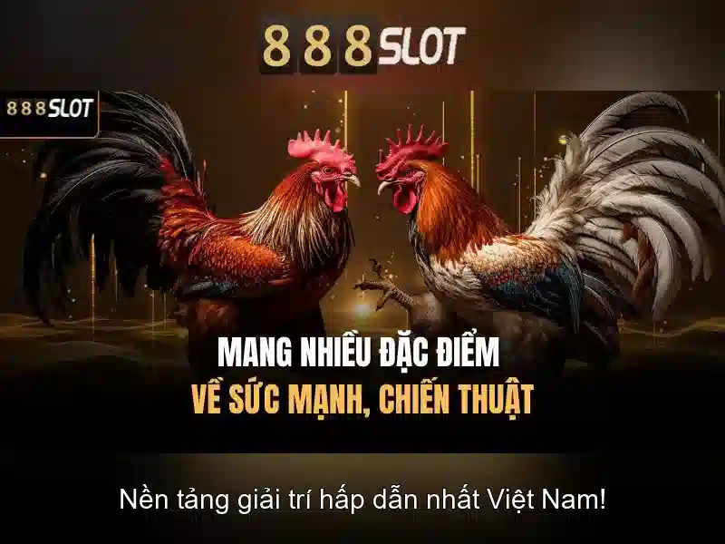 888SLOT - Tải 888slot Download Miễn Phí | Trải Nghiệm Slot Đỉnh Cao 2026