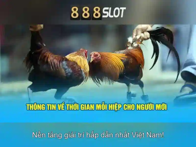 Trải Nghiệm Slot Đỉnh Cao Với 888slot Web