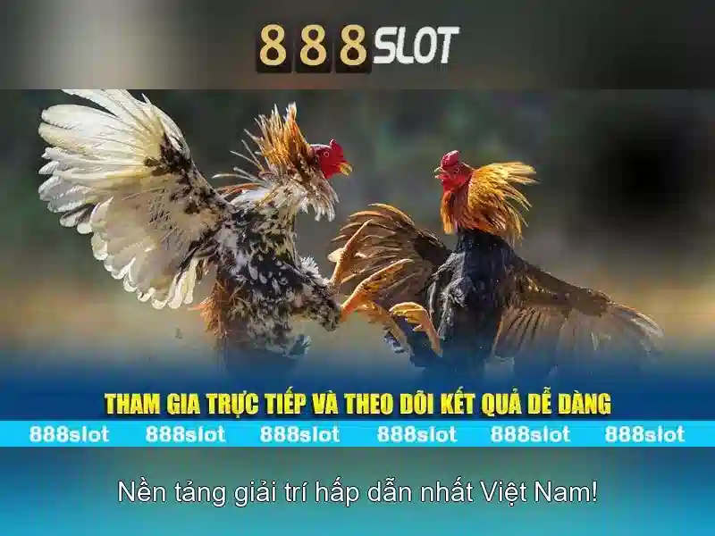 888SLOT – Truy Cập Bị Cấm Do Vị Trí IP Của Bạn 2026