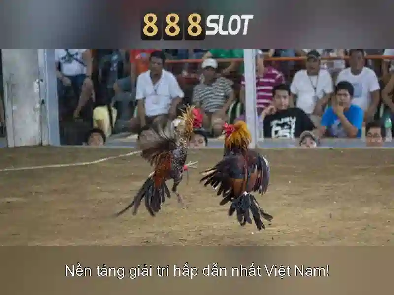Trải Nghiệm Cá Cược Đỉnh Cao Với 888SLOT