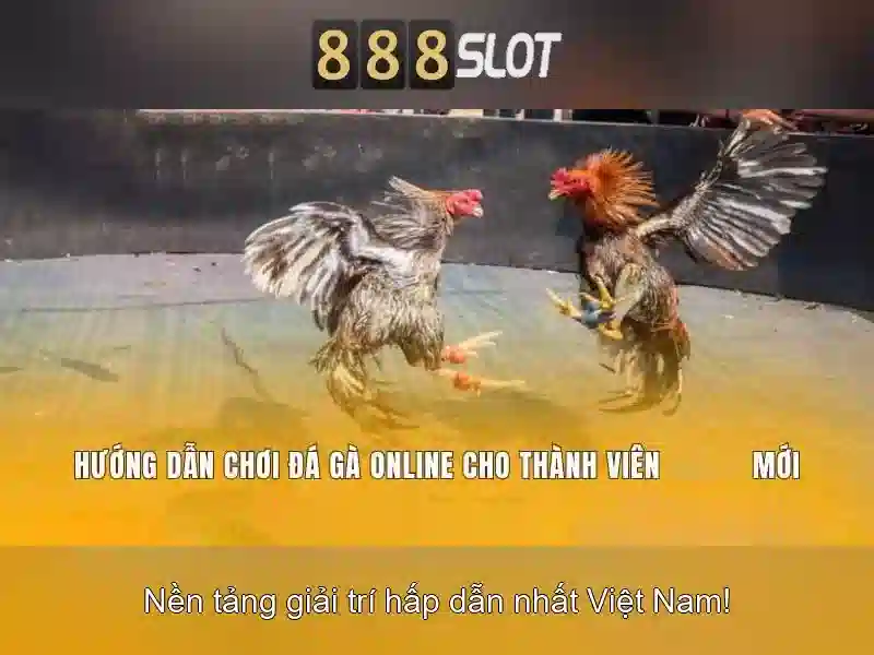 Quyền và nghĩa vụ người chơi 888SLOT